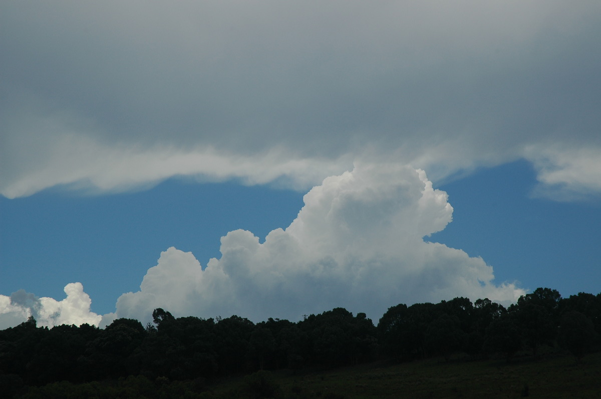 cumulus congestus : Bexhill, NSW   9 December 2005