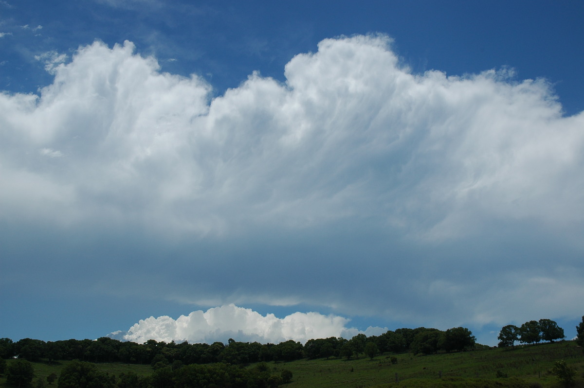 anvil thunderstorm_anvils : Saint Helena, NSW   9 December 2005