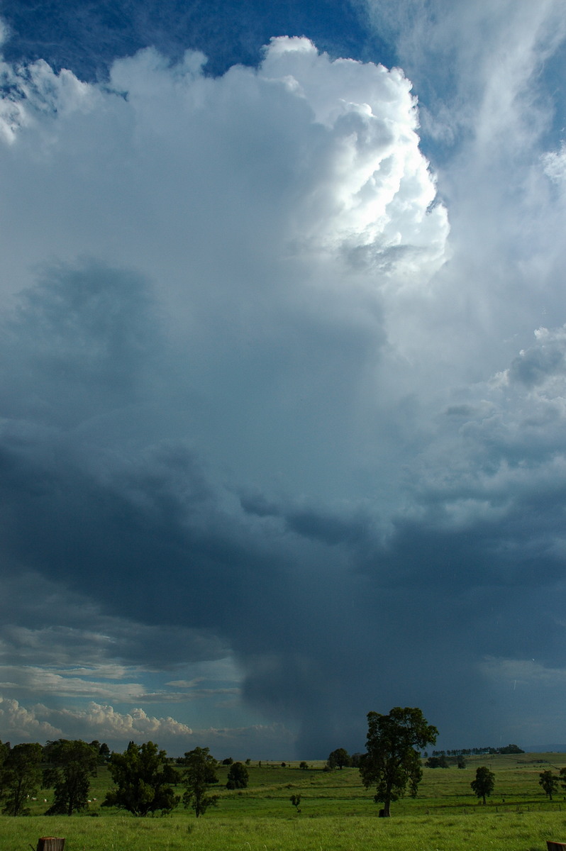 raincascade precipitation_cascade : near Kyogle, NSW   13 December 2005