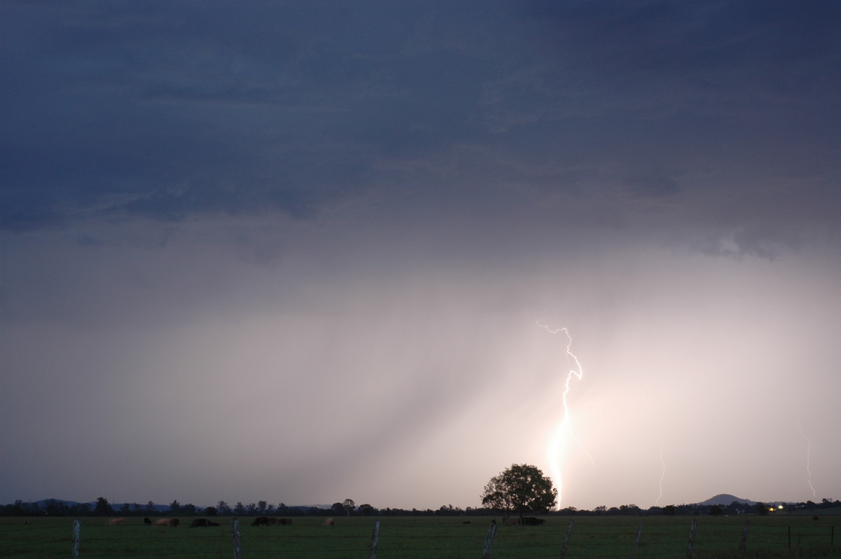 lightning lightning_bolts : near Casino, NSW   13 December 2005