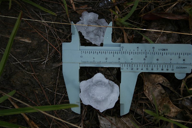 hailstones hail_stones : near Nabiac, NSW   17 December 2005