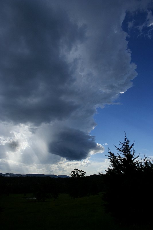 updraft thunderstorm_updrafts : near Nabiac, NSW   17 December 2005