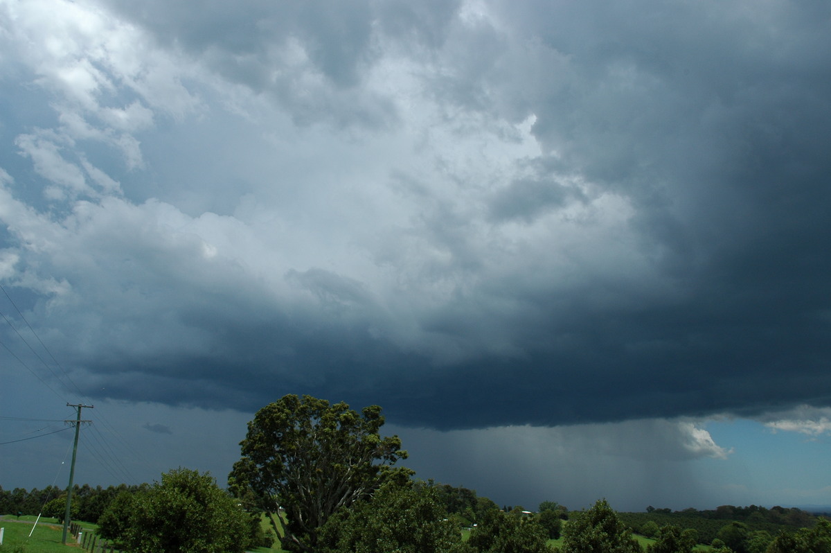 raincascade precipitation_cascade : McLeans Ridges, NSW   17 December 2005