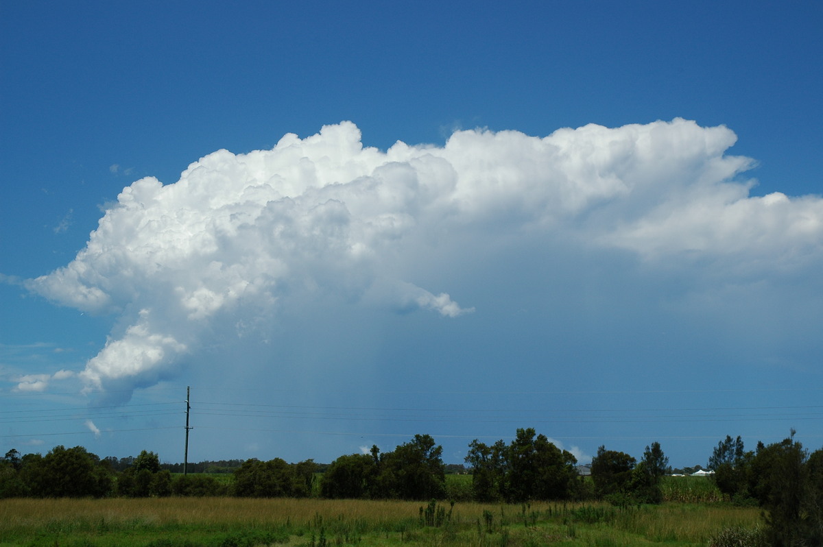 thunderstorm cumulonimbus_incus : Ballina, NSW   17 December 2005