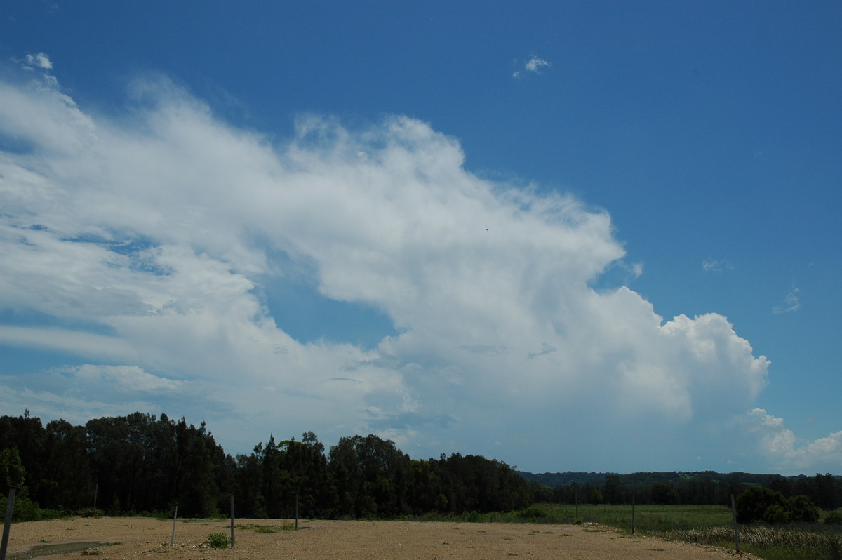 anvil thunderstorm_anvils : Ballina, NSW   17 December 2005