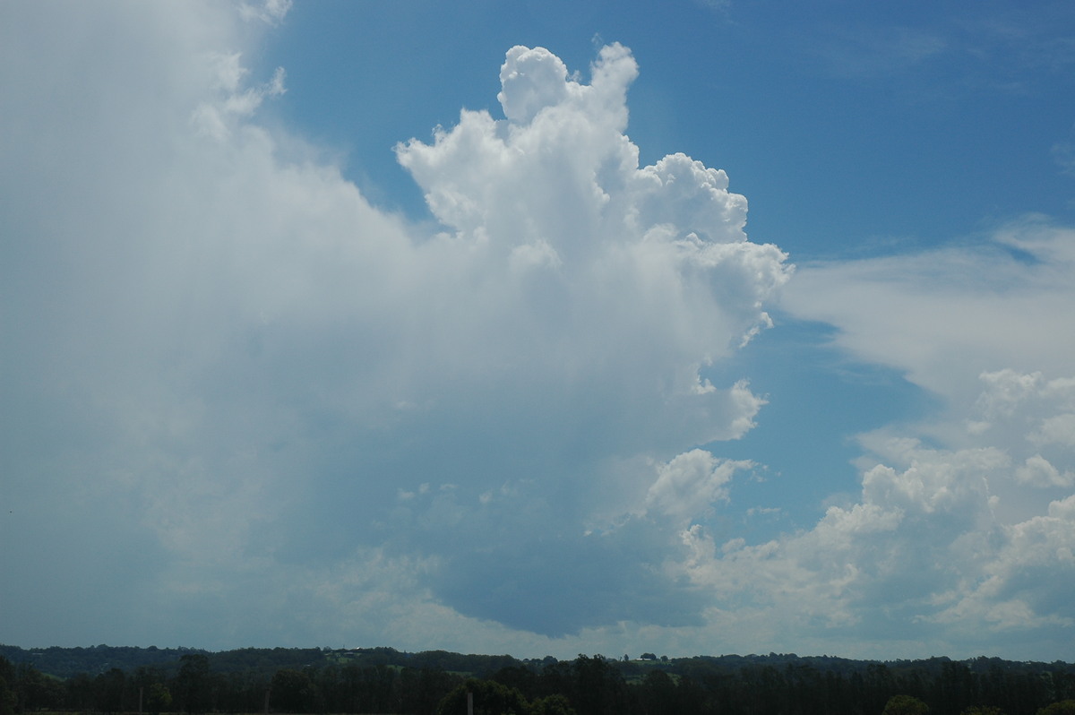 cumulus congestus : Ballina, NSW   17 December 2005