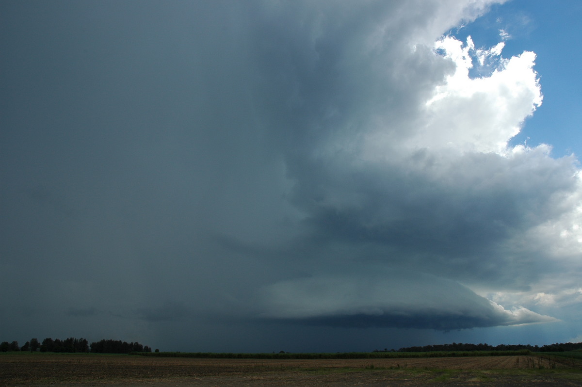 shelfcloud shelf_cloud : W of Broadwater, NSW   17 December 2005