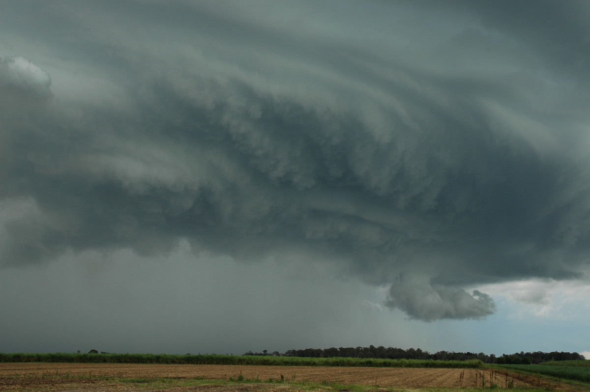 wallcloud thunderstorm_wall_cloud : W of Broadwater, NSW   17 December 2005