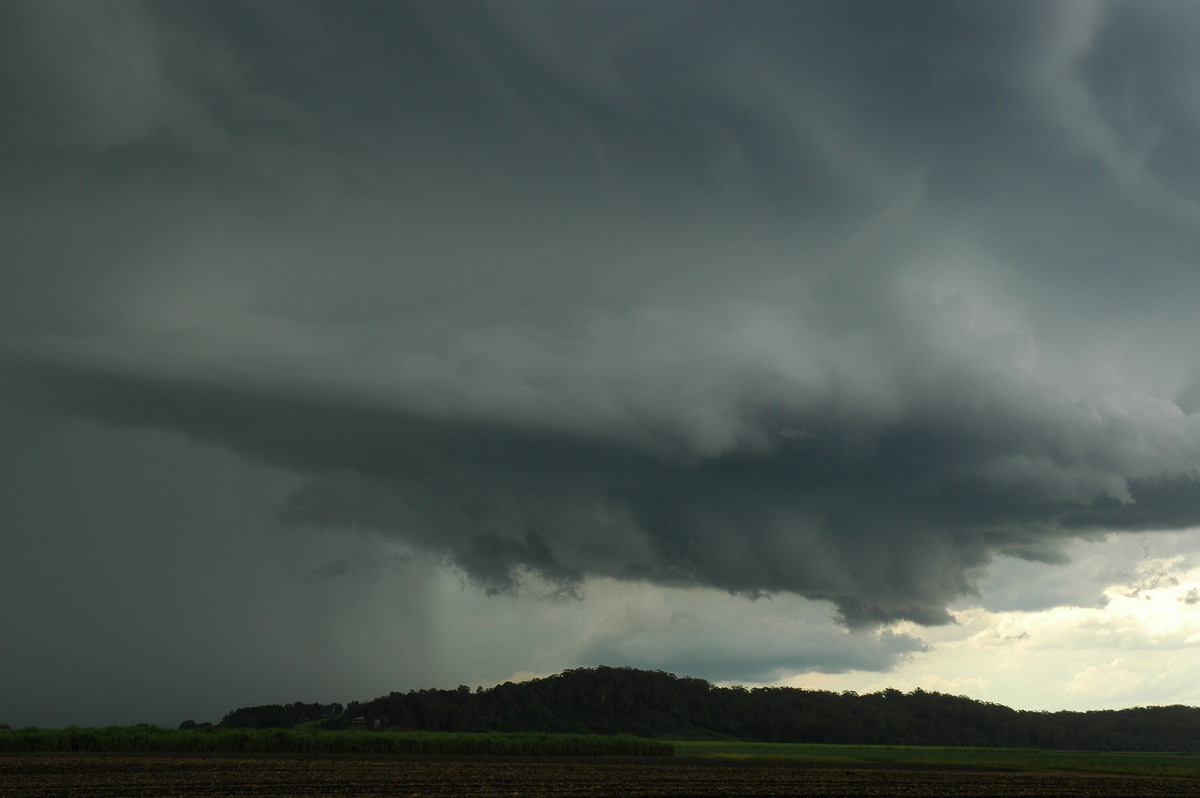 wallcloud thunderstorm_wall_cloud : Broadwater, NSW   17 December 2005