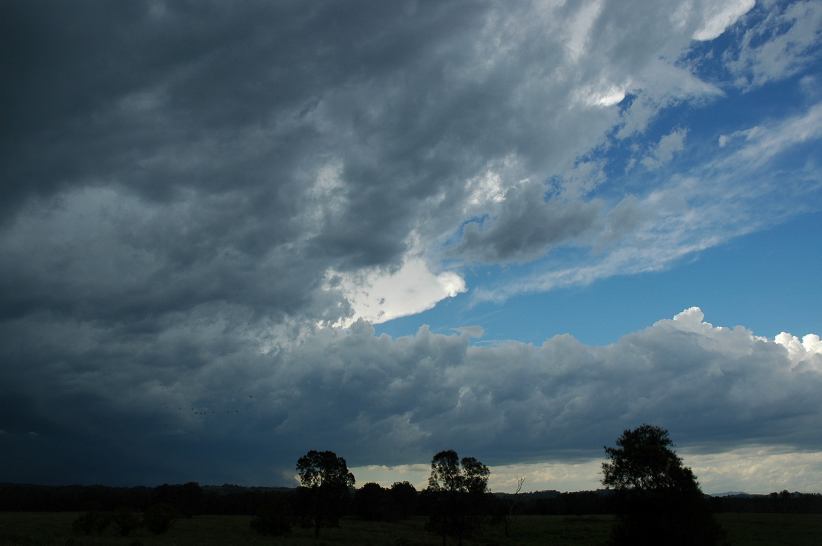 cumulonimbus supercell_thunderstorm : Ballina, NSW   17 December 2005