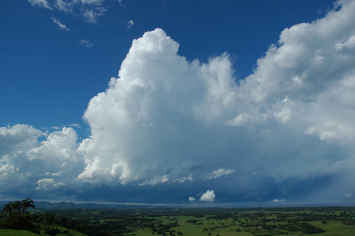 updraft thunderstorm_updrafts : Saint Helena, NSW   17 December 2005