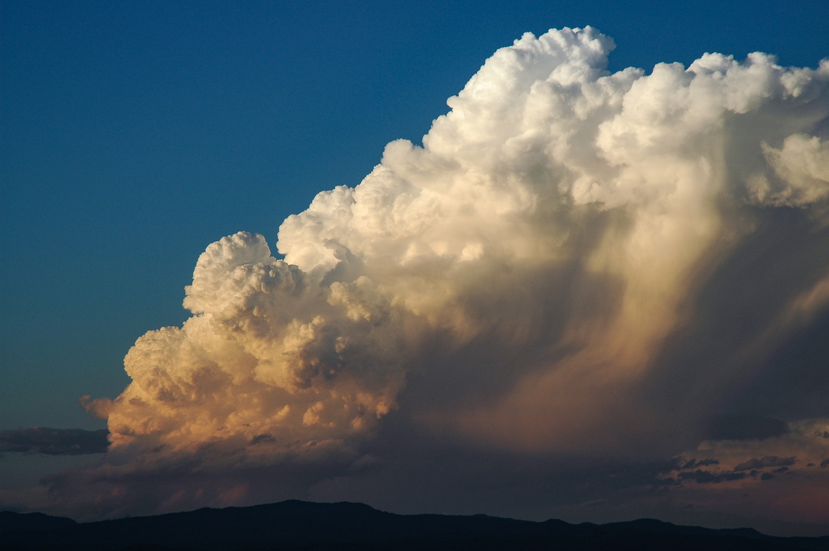 updraft thunderstorm_updrafts : McLeans Ridges, NSW   17 December 2005