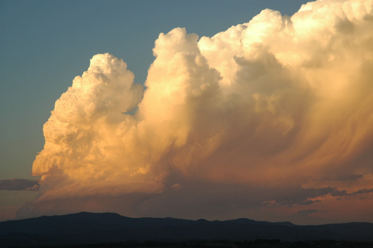 cumulonimbus supercell_thunderstorm : McLeans Ridges, NSW   17 December 2005