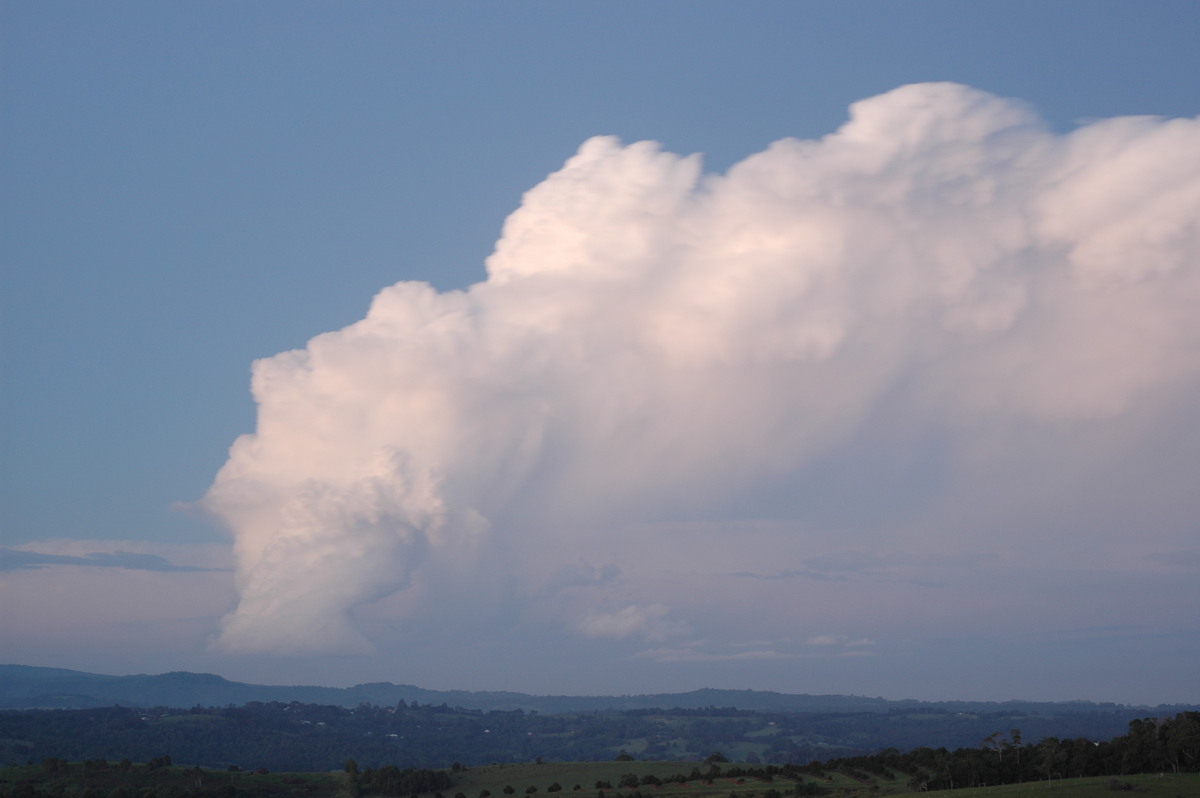 updraft thunderstorm_updrafts : McLeans Ridges, NSW   17 December 2005