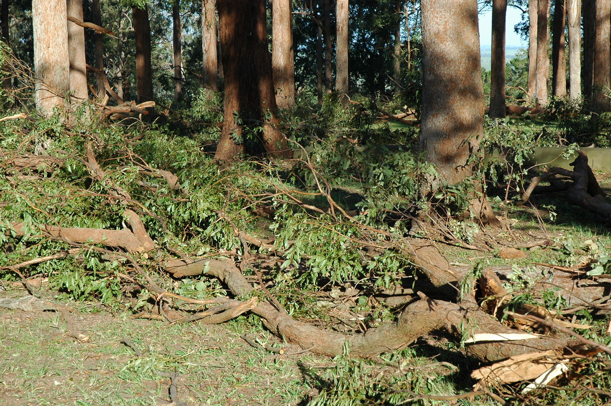 disasters storm_damage : Modanville, NSW   18 December 2005