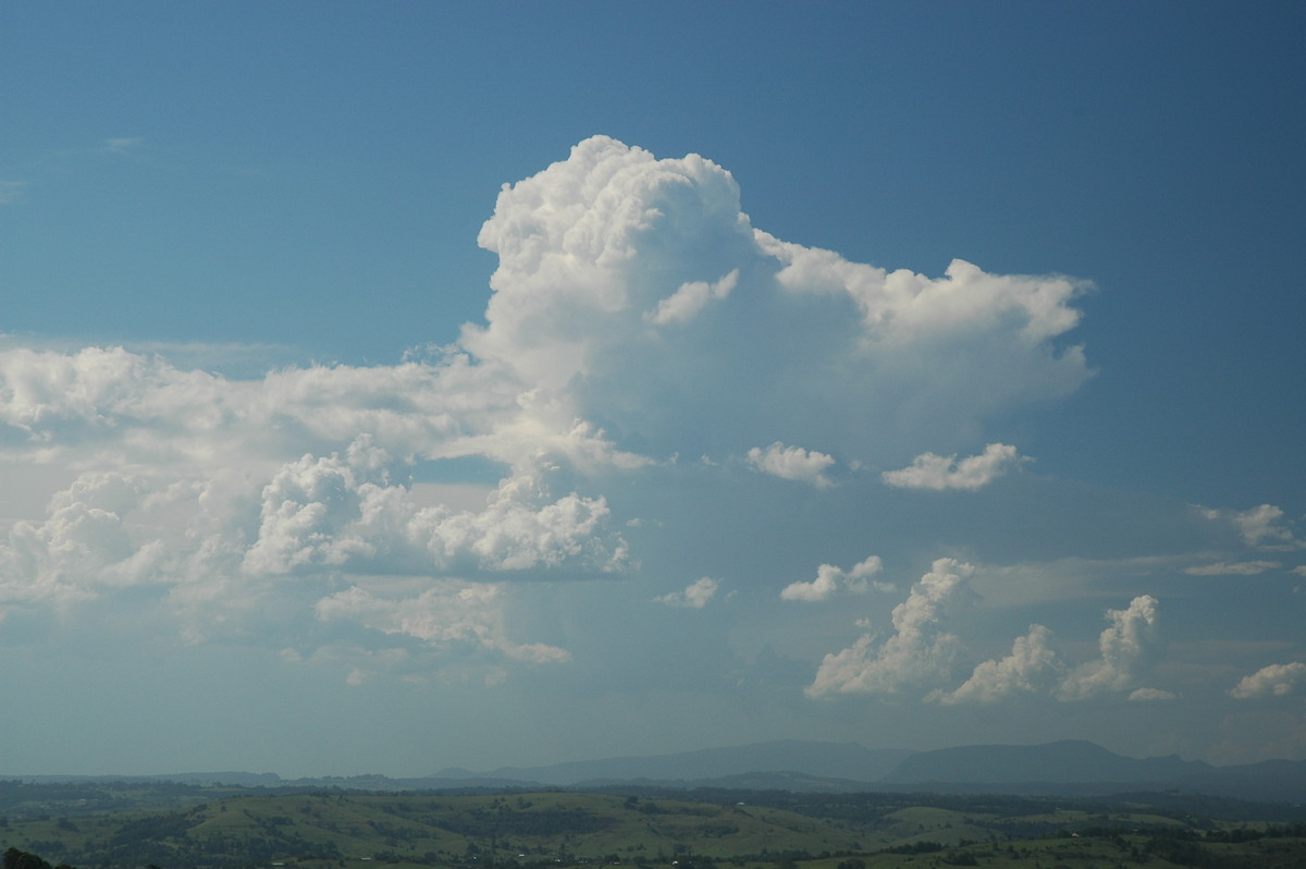 thunderstorm cumulonimbus_calvus : McLeans Ridges, NSW   23 December 2005