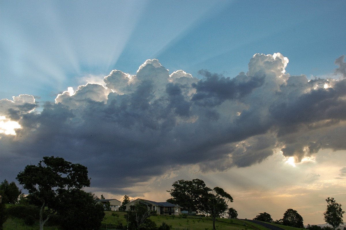 cumulus congestus : McLeans Ridges, NSW   23 December 2005