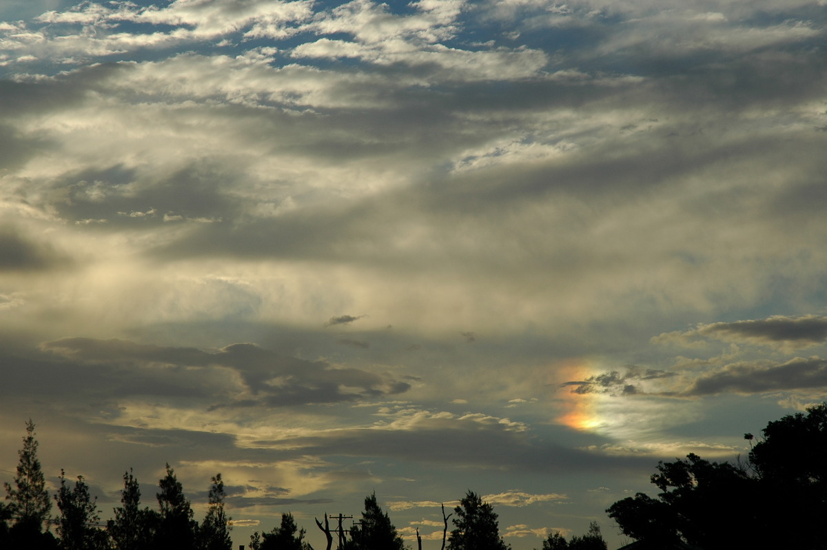 halosundog halo_sundog_crepuscular_rays : McLeans Ridges, NSW   23 December 2005