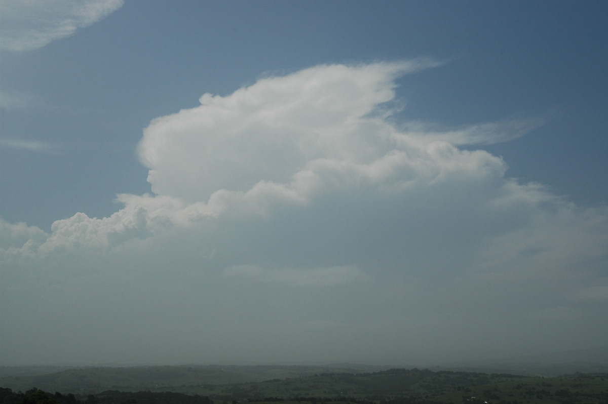 thunderstorm cumulonimbus_incus : McLeans Ridges, NSW   25 December 2005