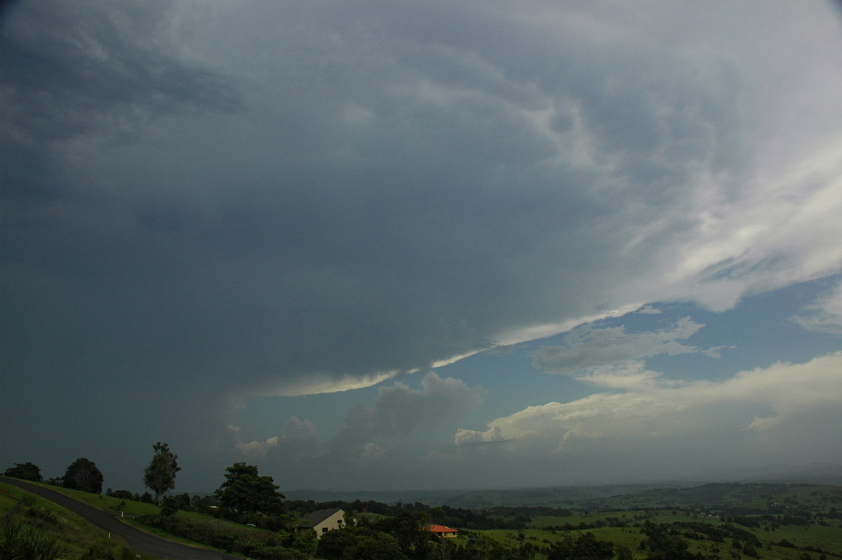 anvil thunderstorm_anvils : McLeans Ridges, NSW   25 December 2005