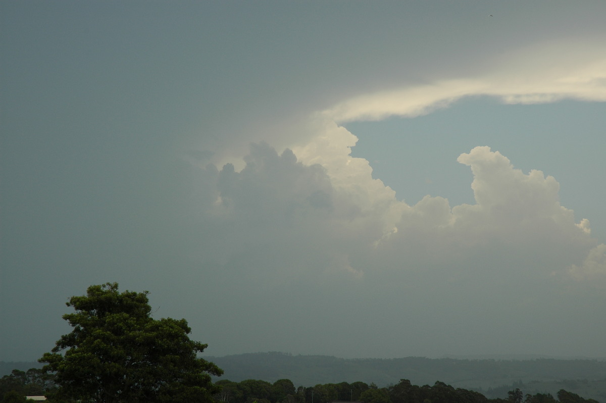 updraft thunderstorm_updrafts : McLeans Ridges, NSW   25 December 2005