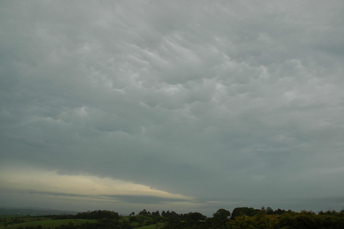 mammatus mammatus_cloud : McLeans Ridges, NSW   25 December 2005