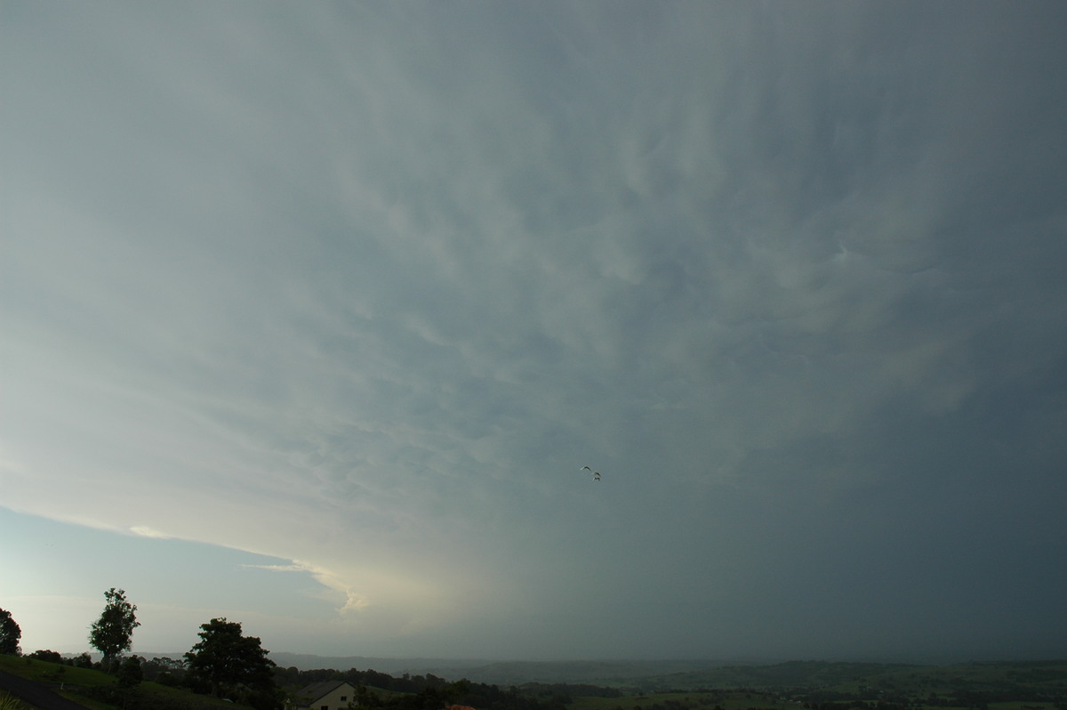 cumulonimbus supercell_thunderstorm : McLeans Ridges, NSW   25 December 2005