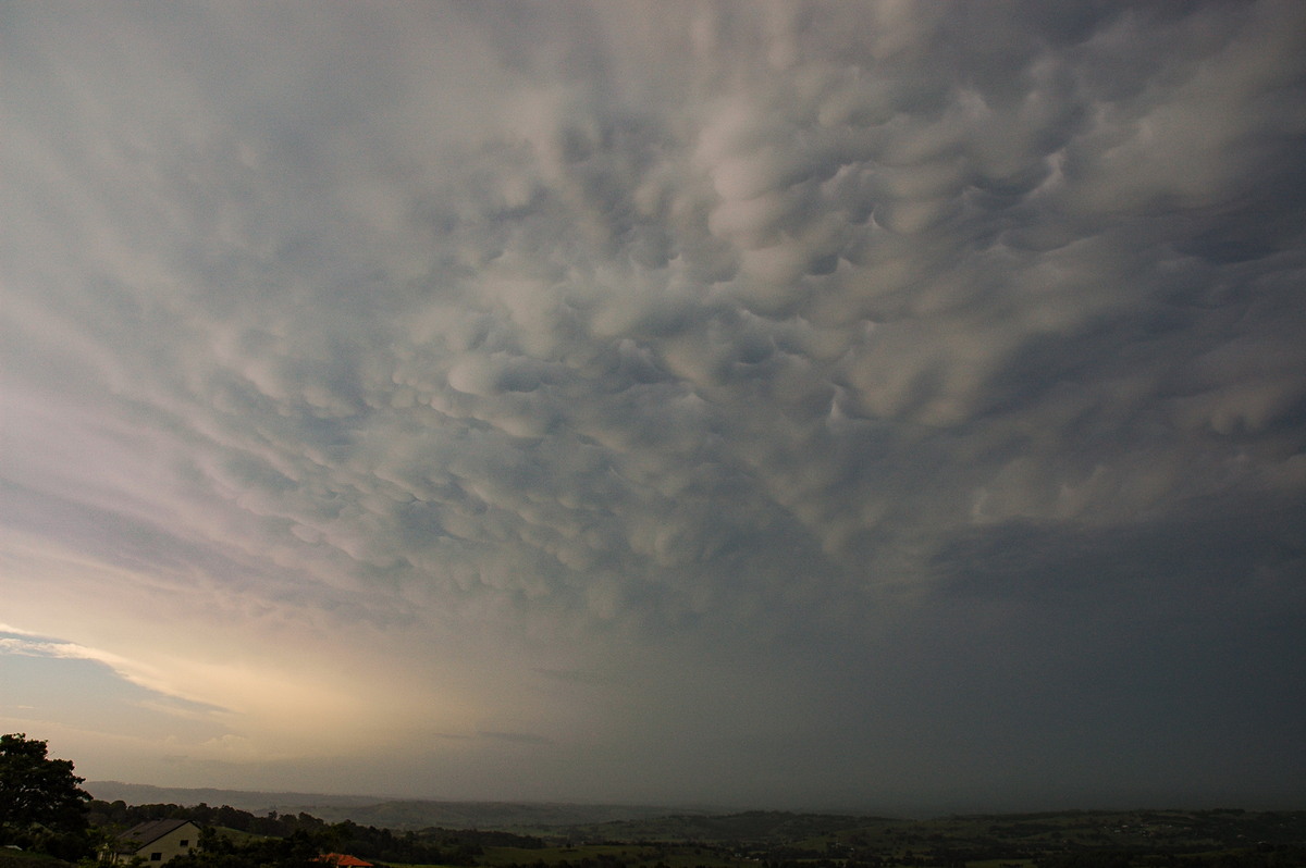 cumulonimbus supercell_thunderstorm : McLeans Ridges, NSW   25 December 2005