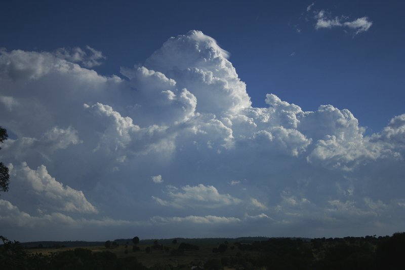 updraft thunderstorm_updrafts : near Yarraman, Qld   26 December 2005