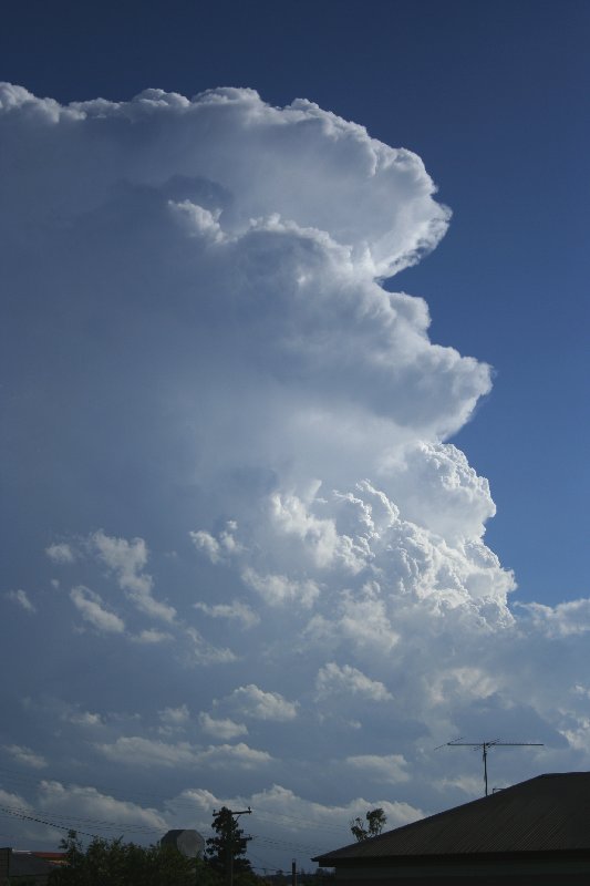 updraft thunderstorm_updrafts : near Yarraman, Qld   26 December 2005