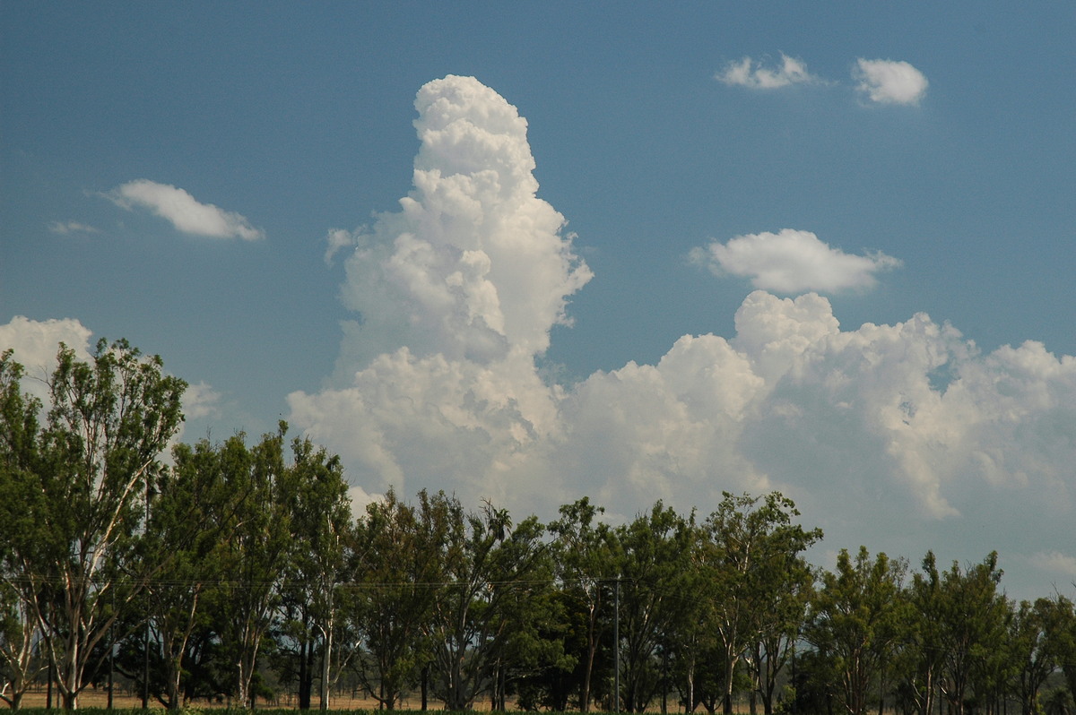 cumulus congestus : W of Brisbane, QLD   26 December 2005