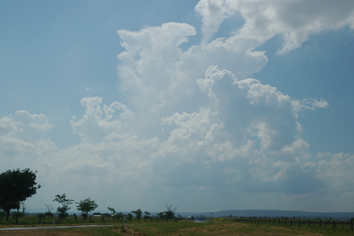 cumulus congestus : W of Brisbane, NSW   26 December 2005