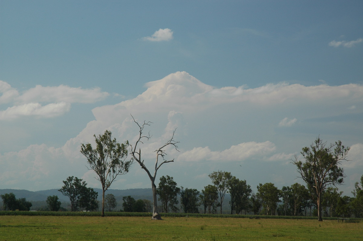 pileus pileus_cap_cloud : W of Brisbane, QLD   26 December 2005