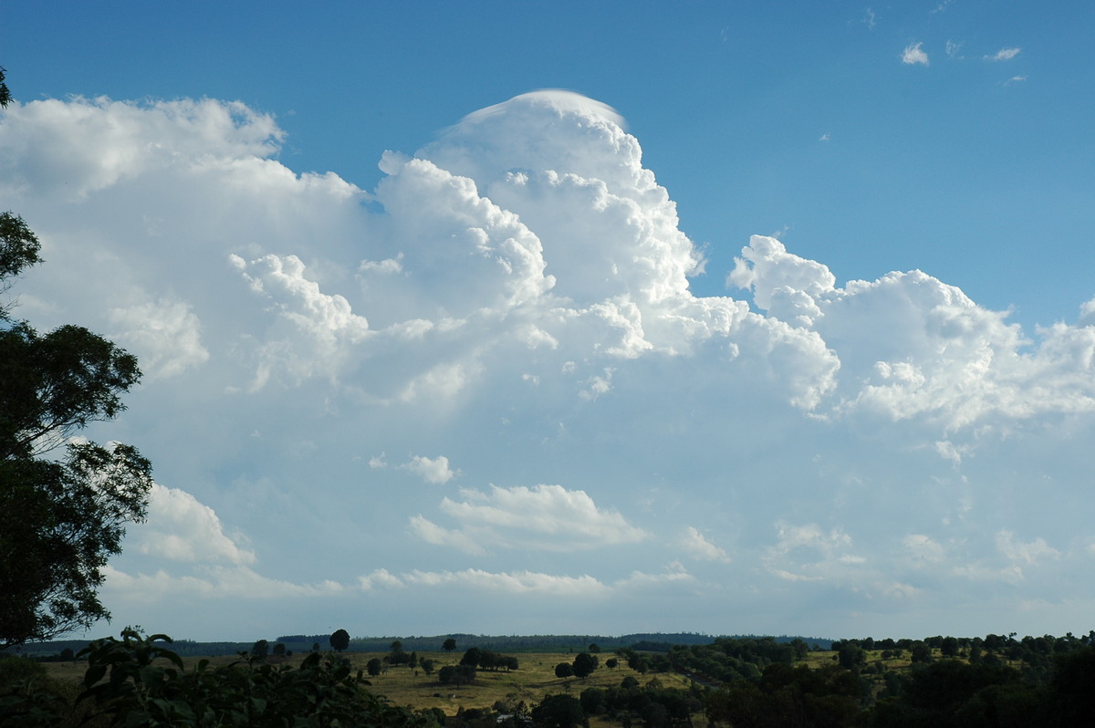 thunderstorm cumulonimbus_calvus : near Yarraman, QLD   26 December 2005