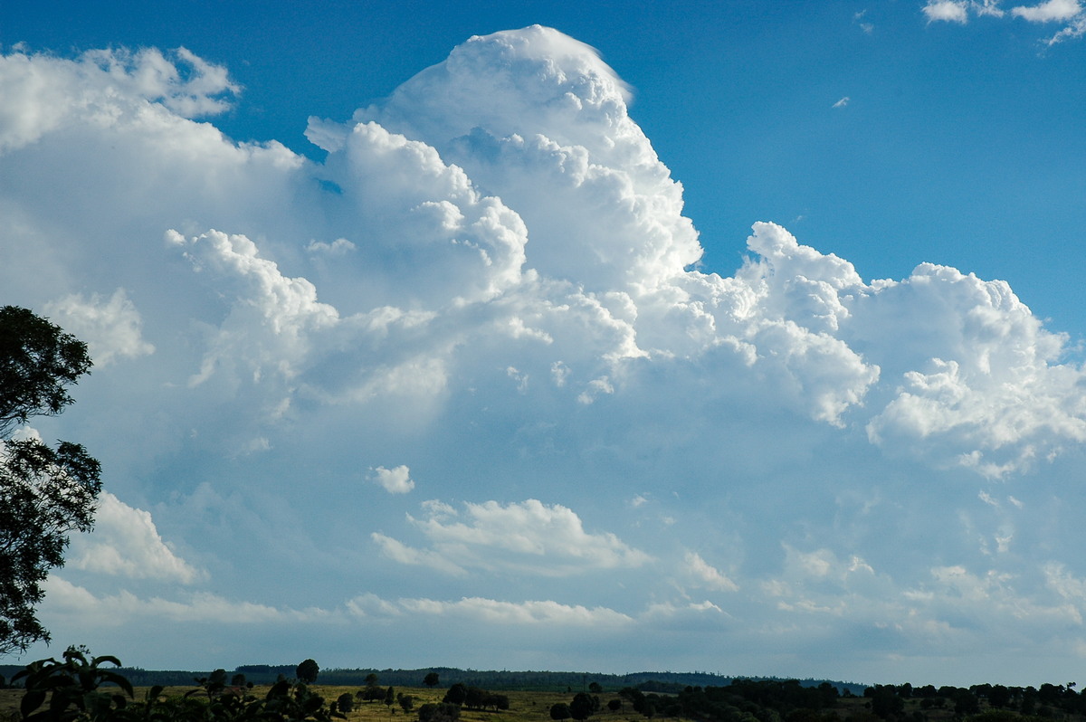 pileus pileus_cap_cloud : near Yarraman, QLD   26 December 2005