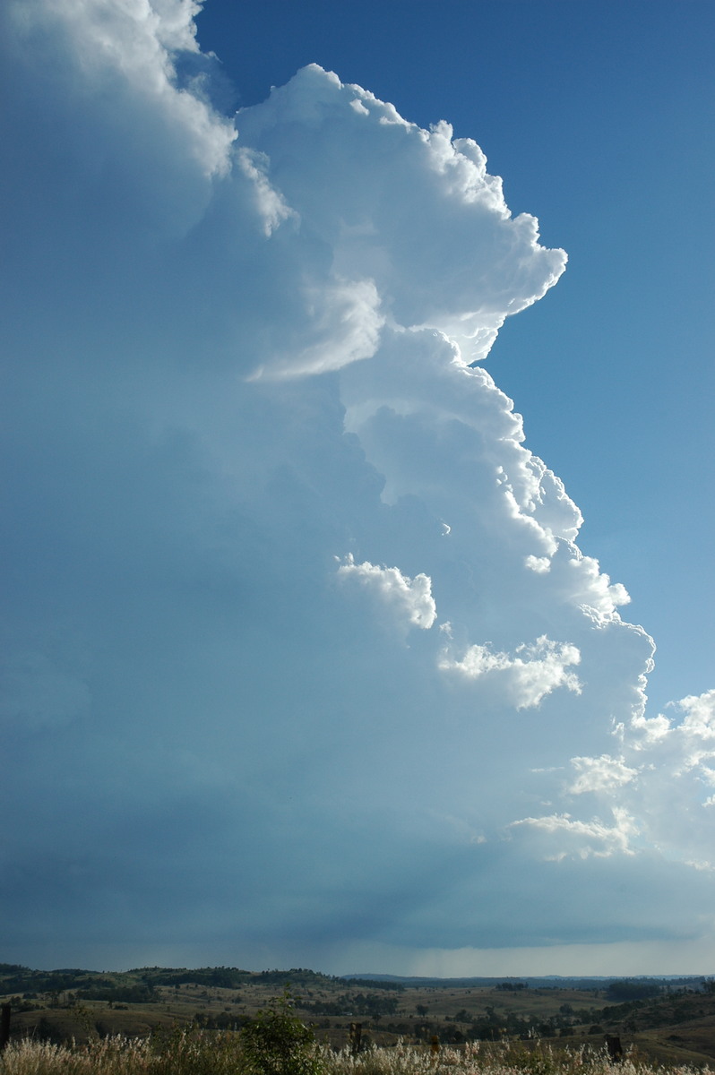 thunderstorm cumulonimbus_incus : near Yarraman, QLD   26 December 2005