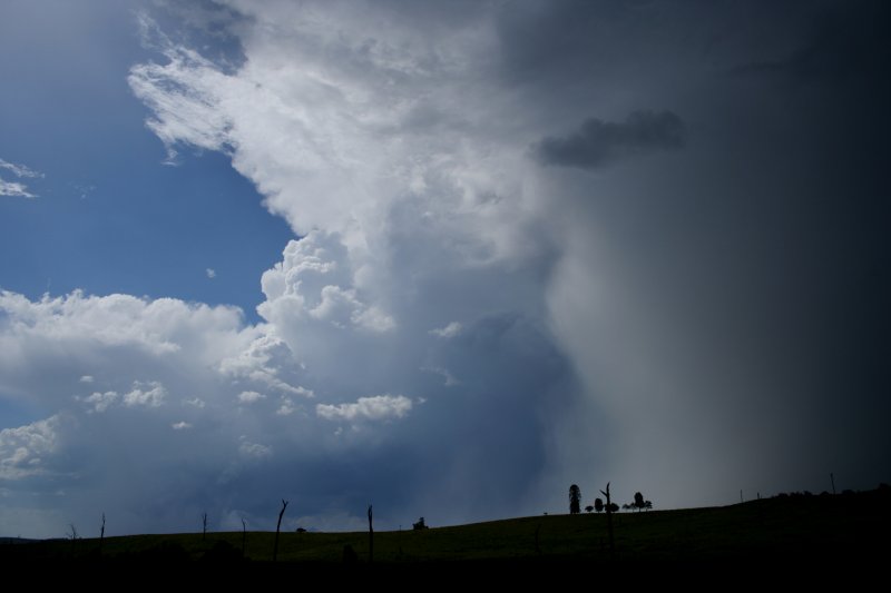 raincascade precipitation_cascade : Richmond Range, NSW   27 December 2005