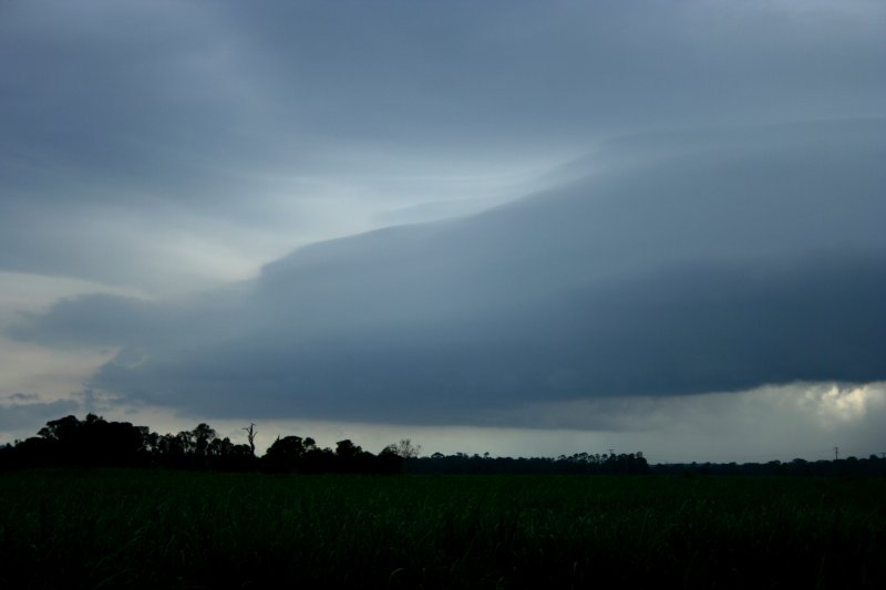 shelfcloud shelf_cloud : Coraki, NSW   27 December 2005