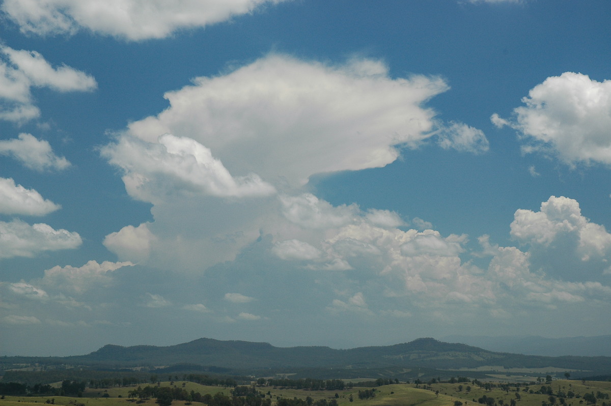 anvil thunderstorm_anvils : Mallanganee NSW   27 December 2005