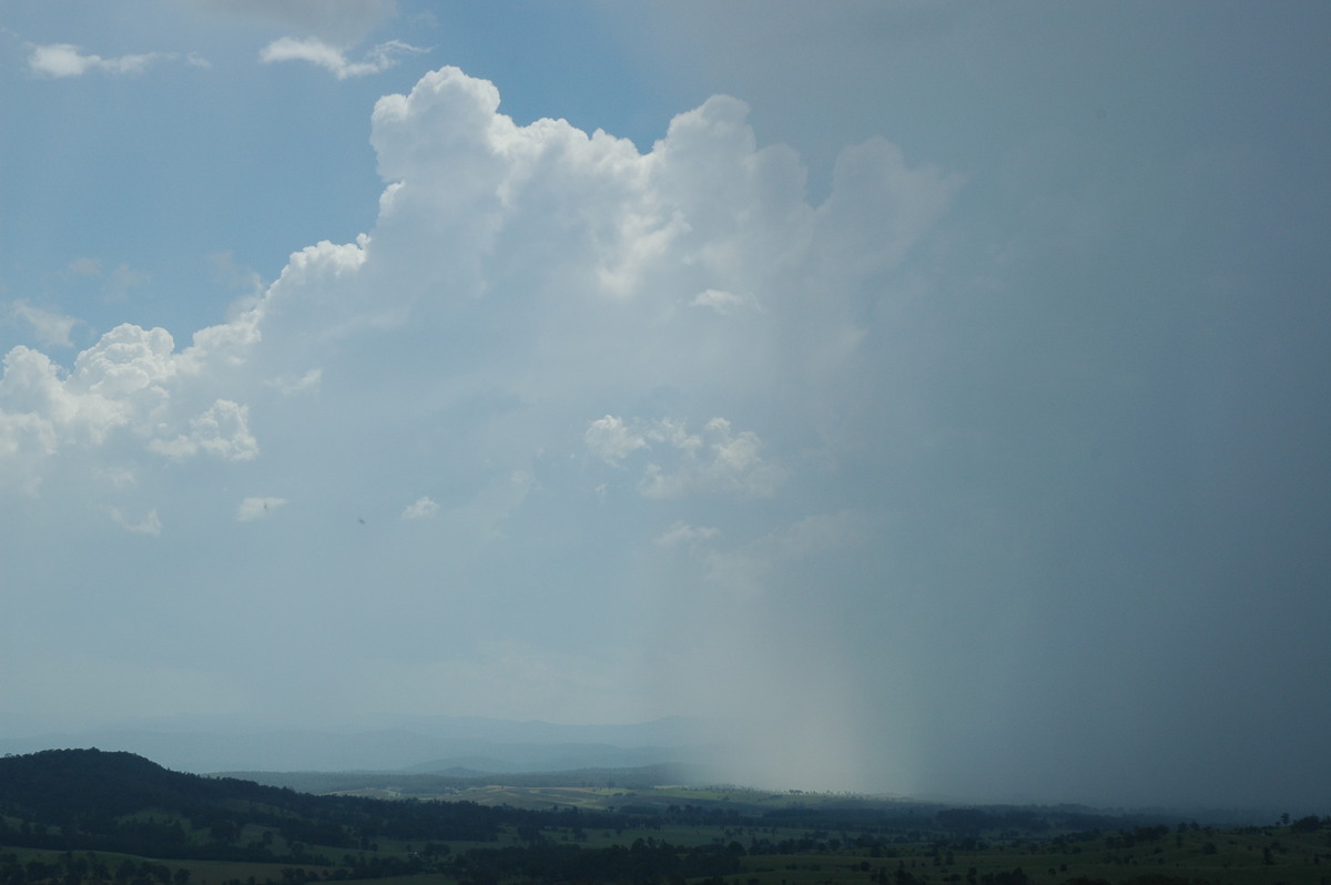 cumulus congestus : Mallanganee NSW   27 December 2005