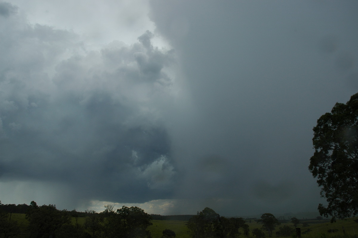 raincascade precipitation_cascade : Mallanganee NSW   27 December 2005