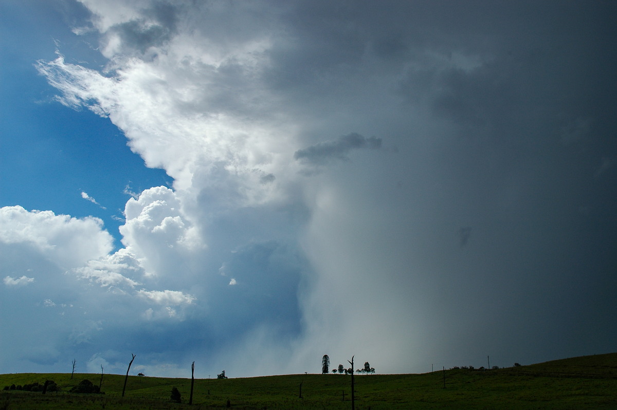 microburst micro_burst : near Bonalbo, NSW   27 December 2005