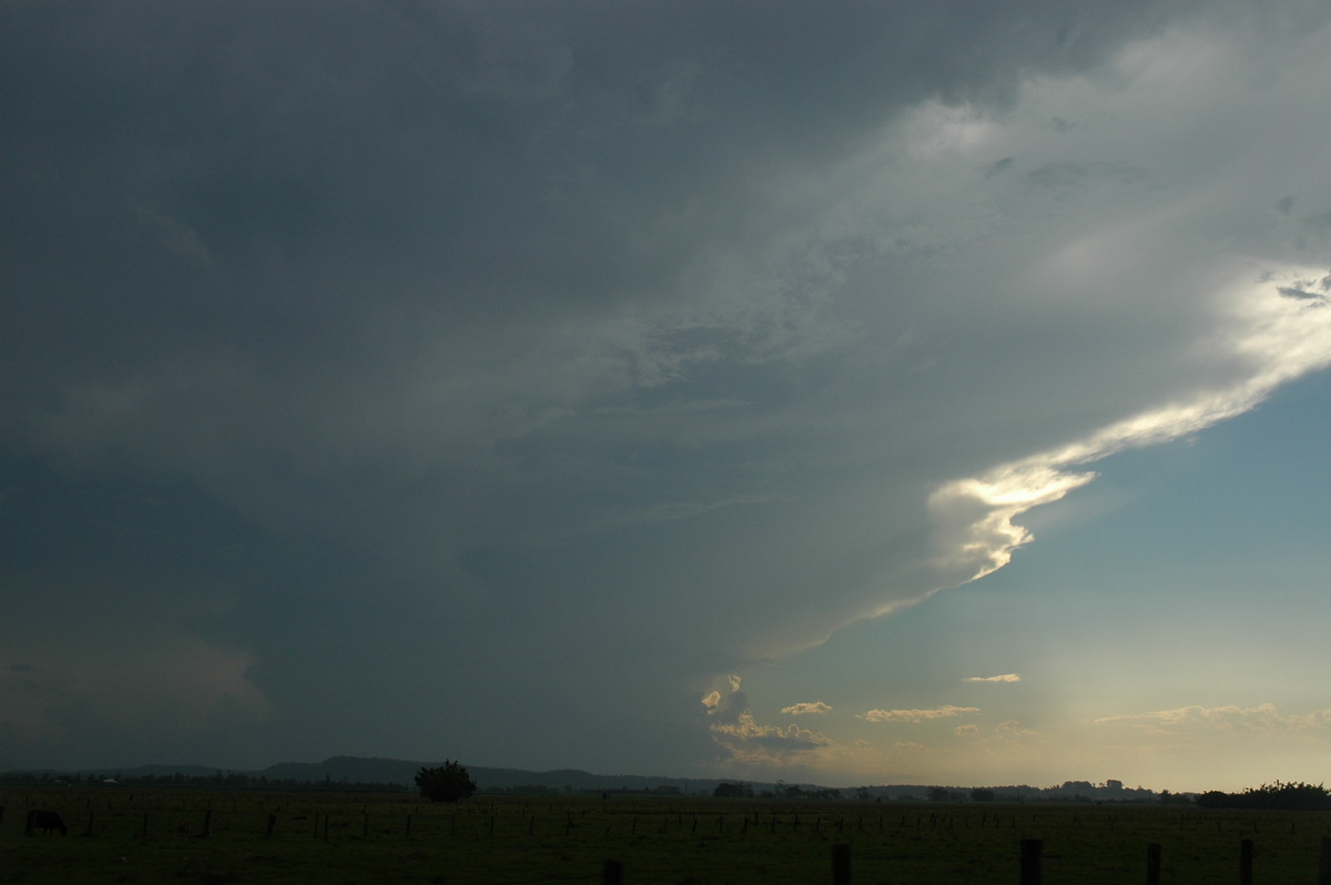 anvil thunderstorm_anvils : near Casino, NSW   27 December 2005