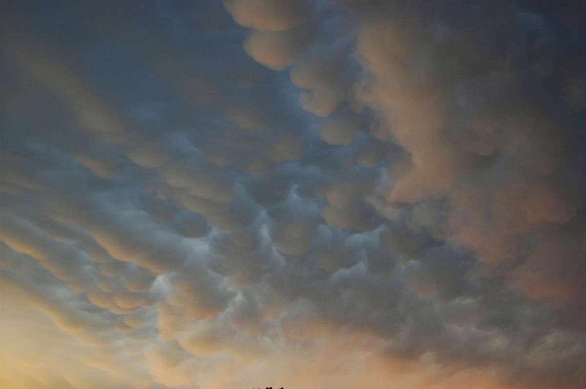 mammatus mammatus_cloud : McLeans Ridges, NSW   29 December 2005