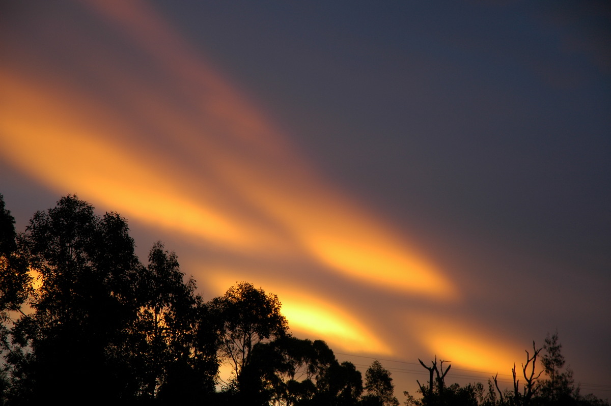 sunset sunset_pictures : McLeans Ridges, NSW   29 December 2005