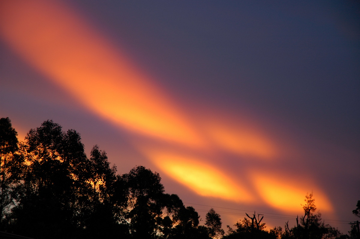 mammatus mammatus_cloud : McLeans Ridges, NSW   29 December 2005