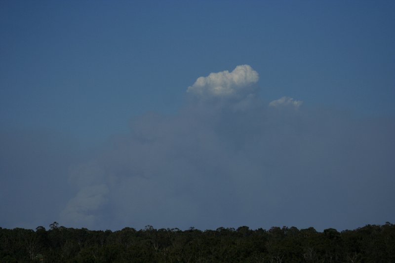 cumulus pyrocumulus : Schofields, NSW   1 January 2006