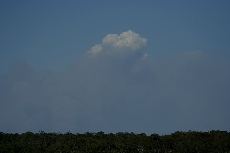 cumulus pyrocumulus : Schofields, NSW   1 January 2006