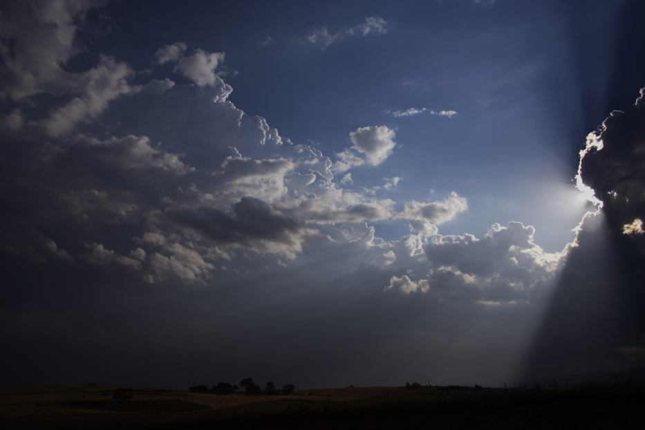 thunderstorm cumulonimbus_calvus : near Bathurst, NSW   6 January 2006