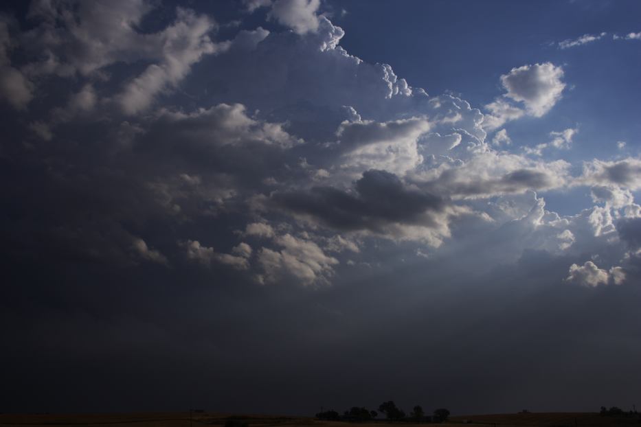 thunderstorm cumulonimbus_calvus : Bathurst, NSW   6 January 2006